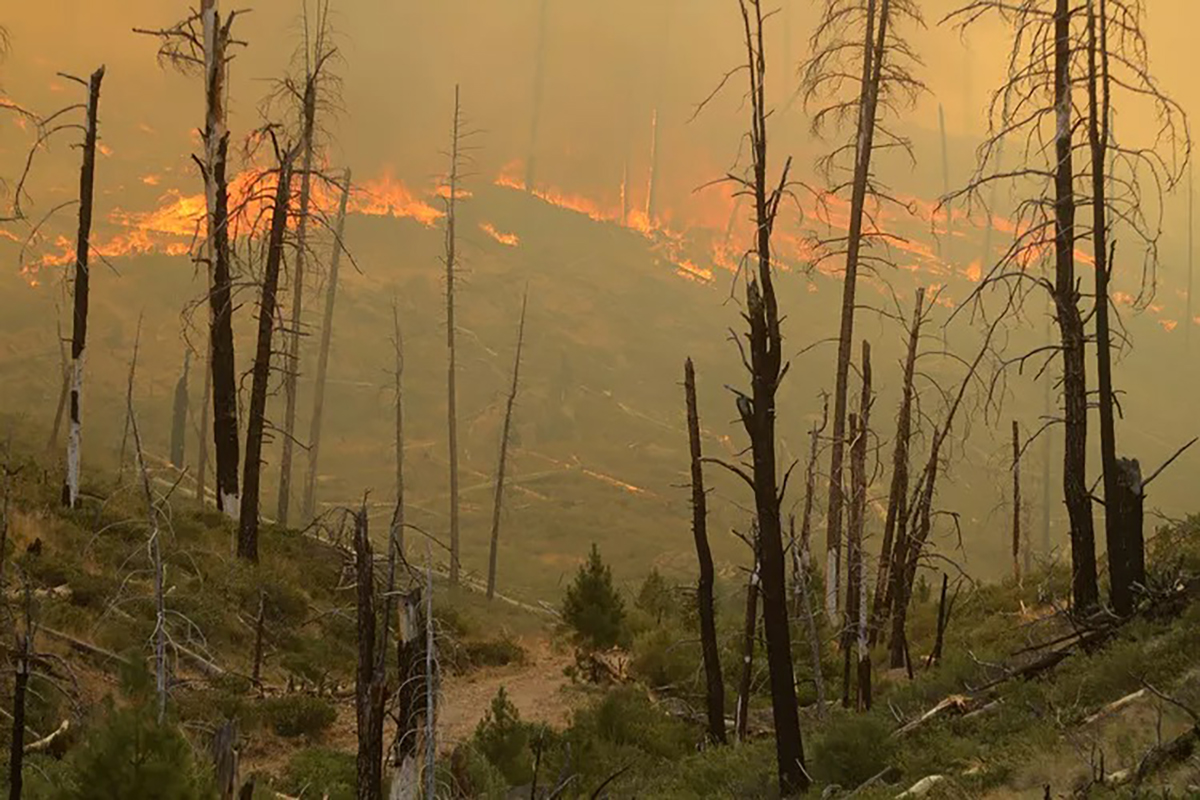 Wildfire burns in Oregon