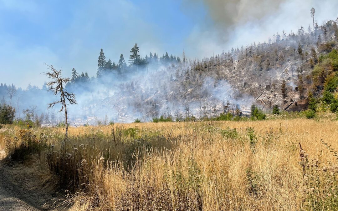 Wildfire Forces ‘Go Now’ Level 3 Evacuations at Henry Hagg Lake in Oregon