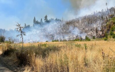 Wildfire Forces ‘Go Now’ Level 3 Evacuations at Henry Hagg Lake in Oregon