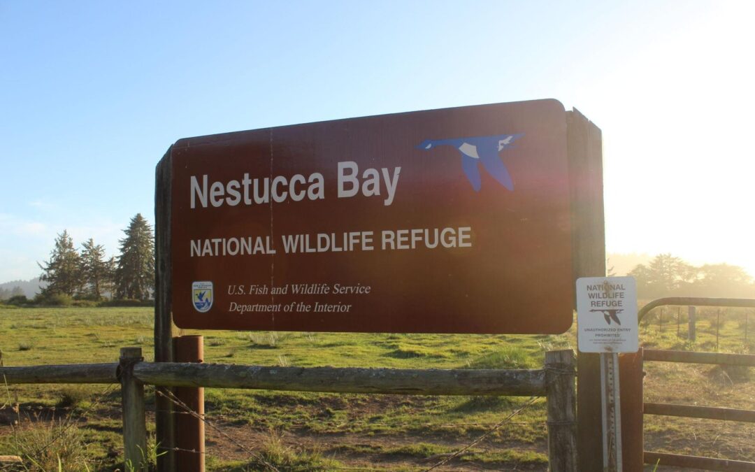 Beat the Heat and Spot Majestic Wildlife on This Oregon Coast Wildlife Refuge