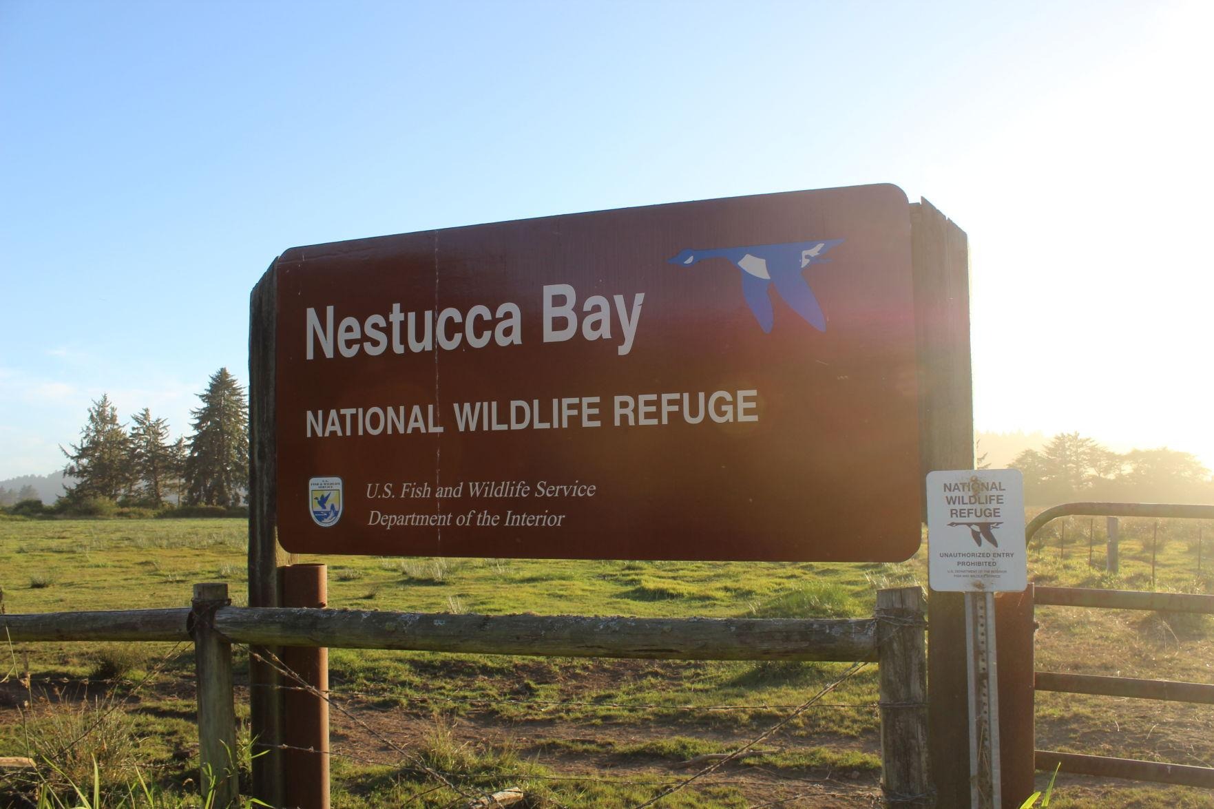 nestucca bay wildlife refuge