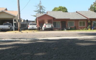 Albany Man Busted for Keeping Cougar and Dangerous Wildlife in His Small Home