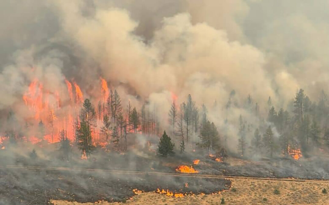 Oregon Under Statewide Smog and Smoke Advisories