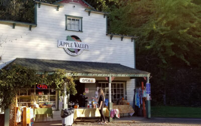 The Pumpkin Cinnamon Rolls At This Country Store in Oregon Will Be Your New Fall Obsession