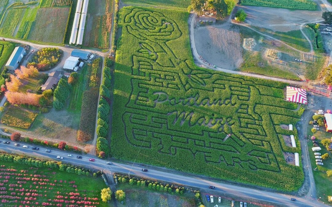 Portland’s Favorite Corn Maze And Pumpkin Patch to Open August 31