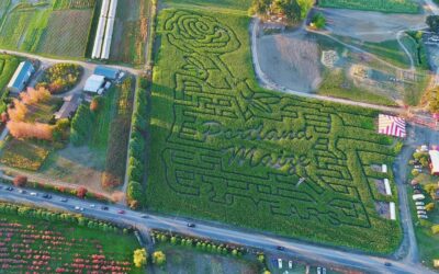 Portland’s Favorite Corn Maze And Pumpkin Patch to Open August 31