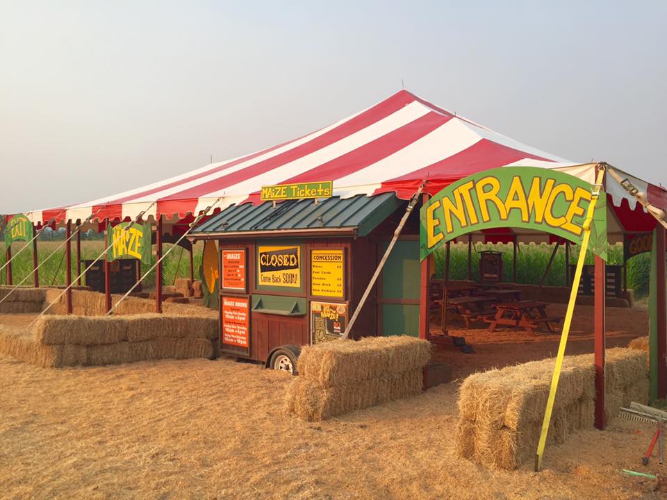 A red and white striped tent marks the start and finish of the corn maze.