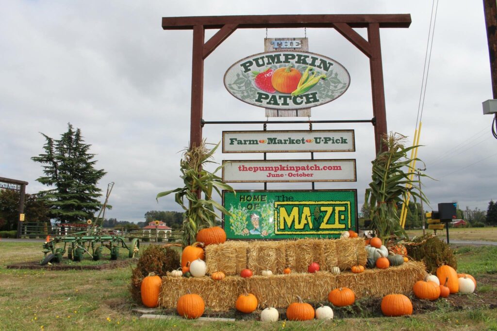 The Pumpkin Patch and MAiZE sign.