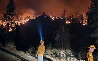 Rapidly Growing NE Oregon Wildfire Engulfs 10,000 Acres, Prompts Evacuations