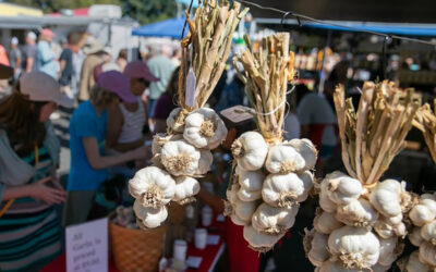 From Garlic Ice Cream to Parades, Oregon’s 2024 Garlic Festival Starts Today