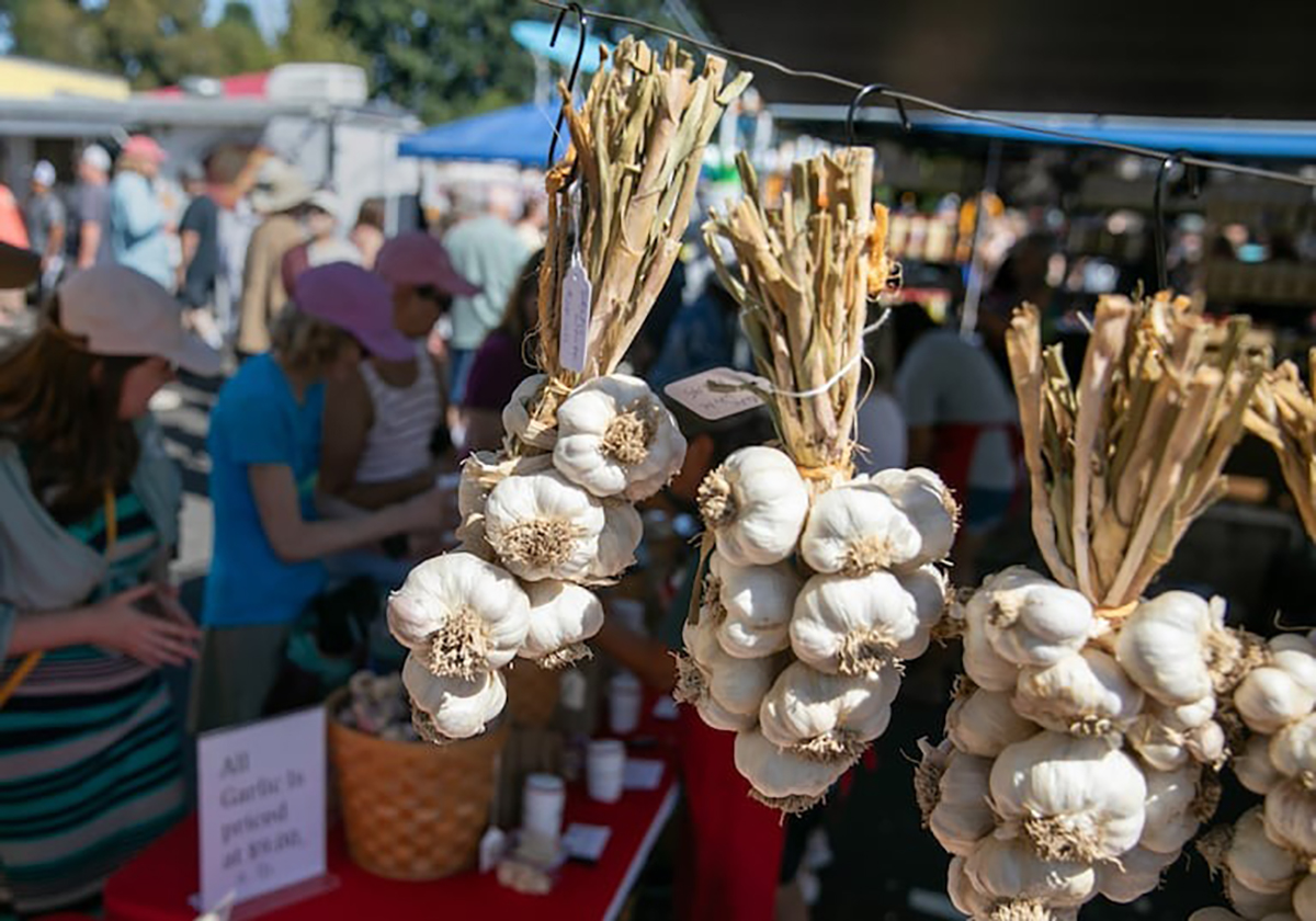 garlic festival oregon