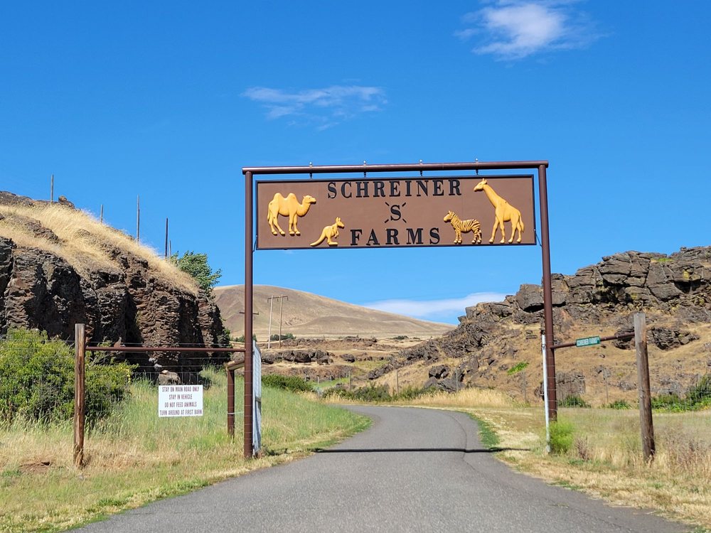 schreiner farms, washington state, columbia river gorge, drive through zoo, family fun, wild animals, free roaming, PNW, things to do, giraffe, zebra, deer, kangaroo, ostrich, working ranch