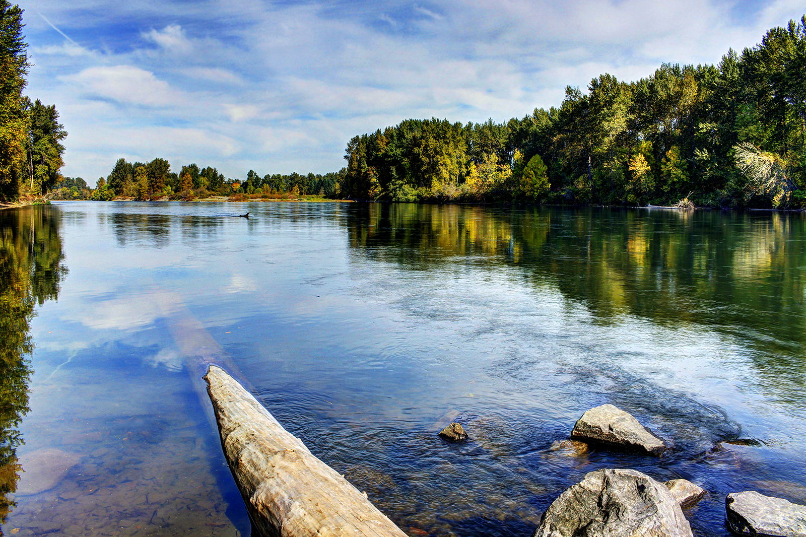 willamette river