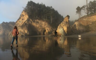 This Little Oregon Beach Features Amazing History And A Beautiful Coastal Waterfall