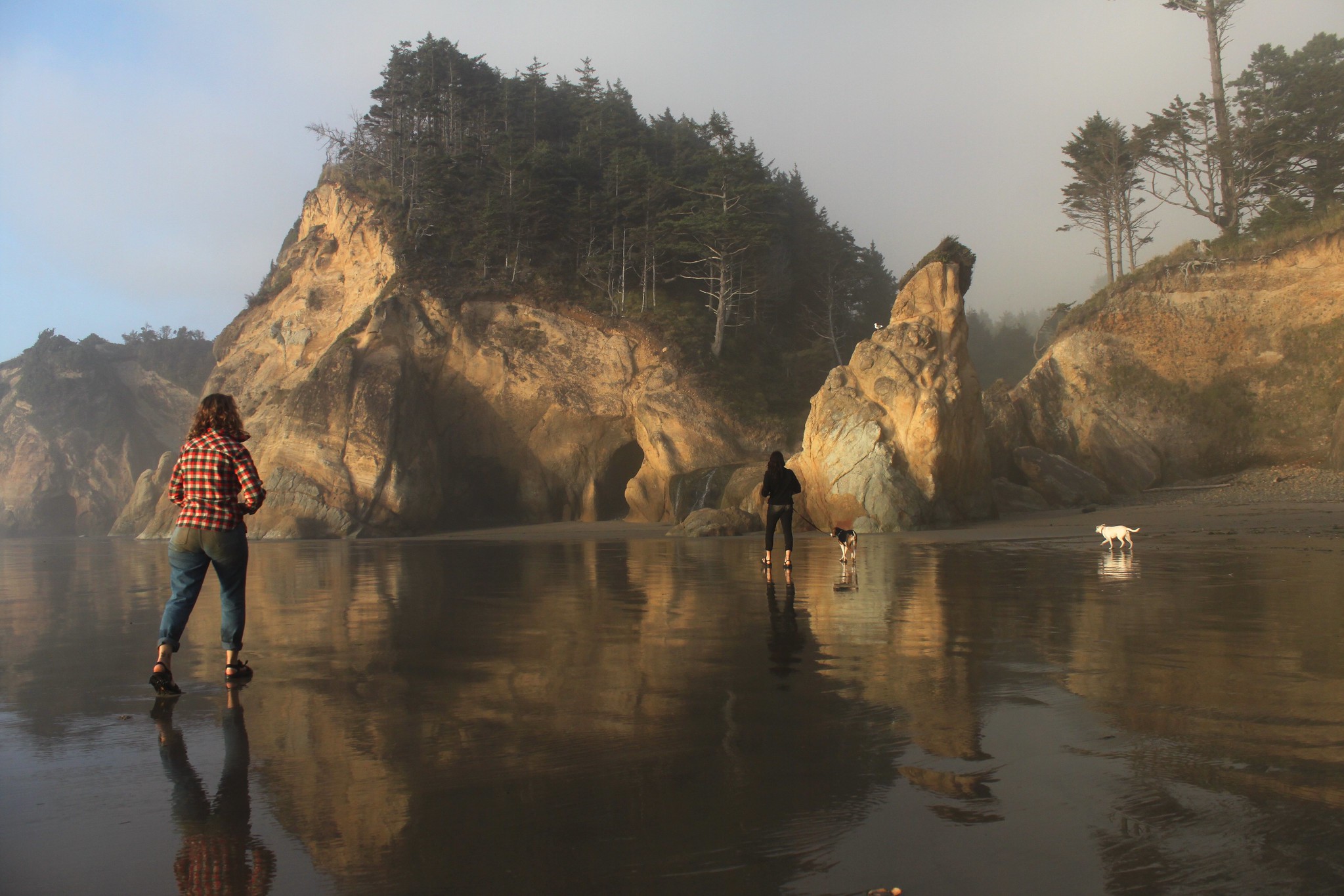 hug point state recreation site, oregon coast, northern beaches, best oregon beaches, waterfall, hiking, sea caves, dog friendly, tide pools, family fun