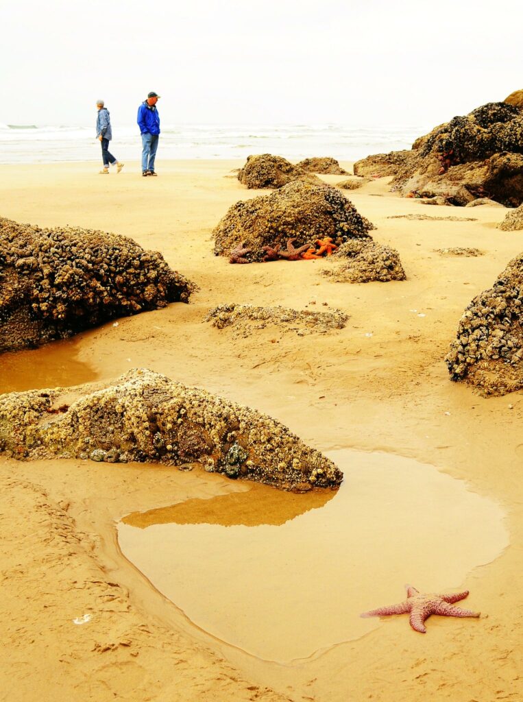 hug point state recreation site, oregon coast, northern beaches, best oregon beaches, waterfall, hiking, sea caves, dog friendly, tide pools, family fun