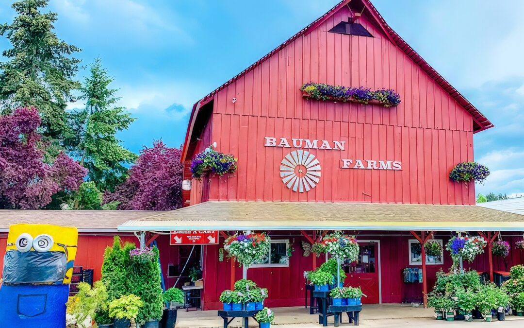 Fall Fun and Apple Cider Donuts Make This Harvest Festival a Must-Visit in Oregon