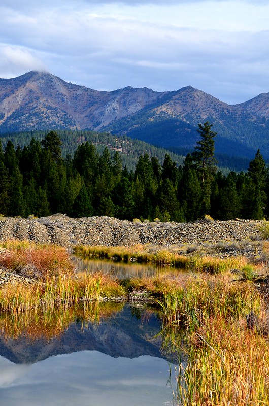 A small body of water is surrounded by yellow and orange foliage in front of the Elkhorn Mountains.