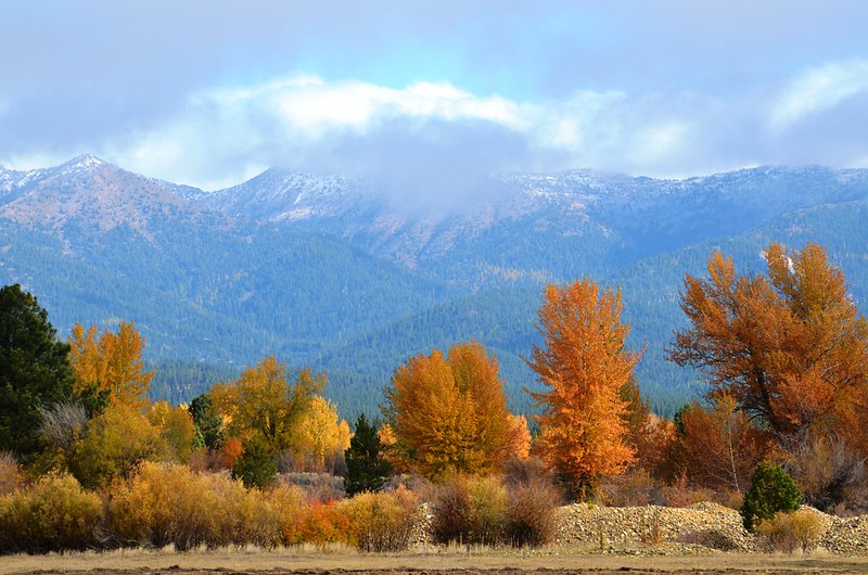 Orange and green trees make for a colorful landscape in front of the towering Elkhorn mountains.