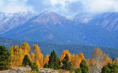 Experience the Magic of Oregon’s Fall Foliage on This Stunning Scenic Drive