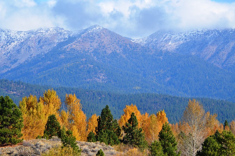 Orange and green trees make for a colorful landscape in front of the towering Elkhorn mountains.