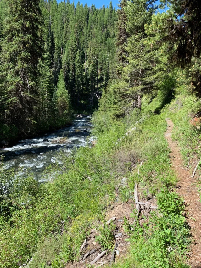 A trail sits up above the John Day River. The area is forested, the trail is narrow, and the landscape is gorgeous.