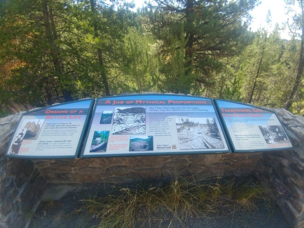 A roadside interpretive display in a forested area.