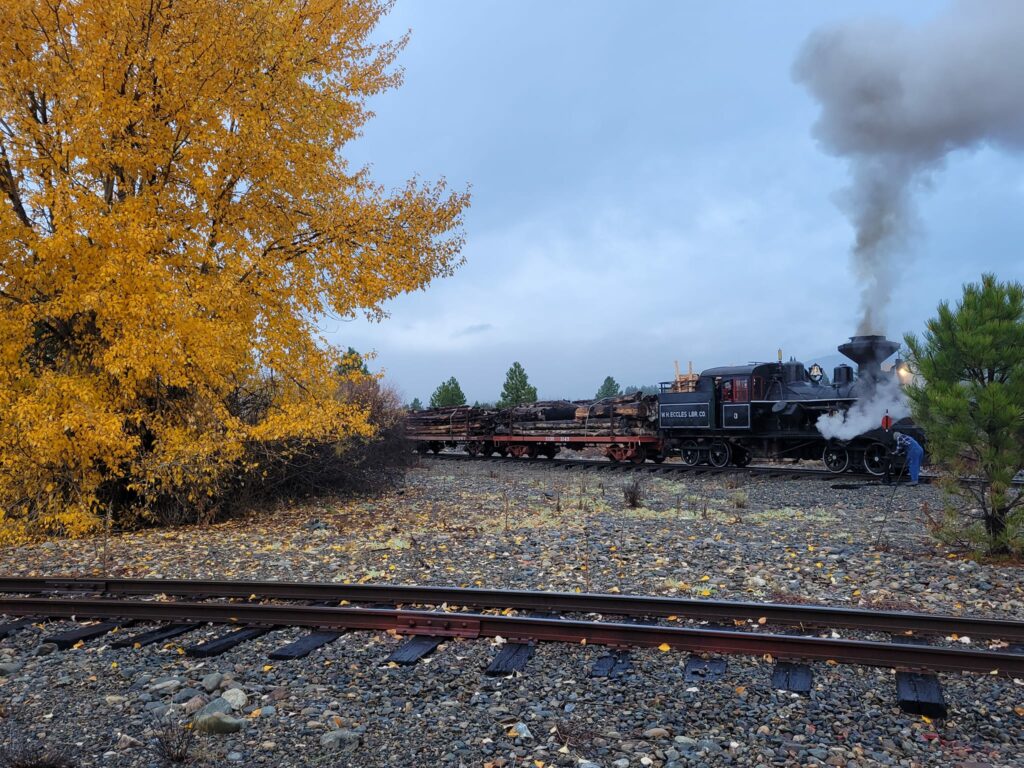 A train passes trees in fall colors with steam billowing out the top of the train.