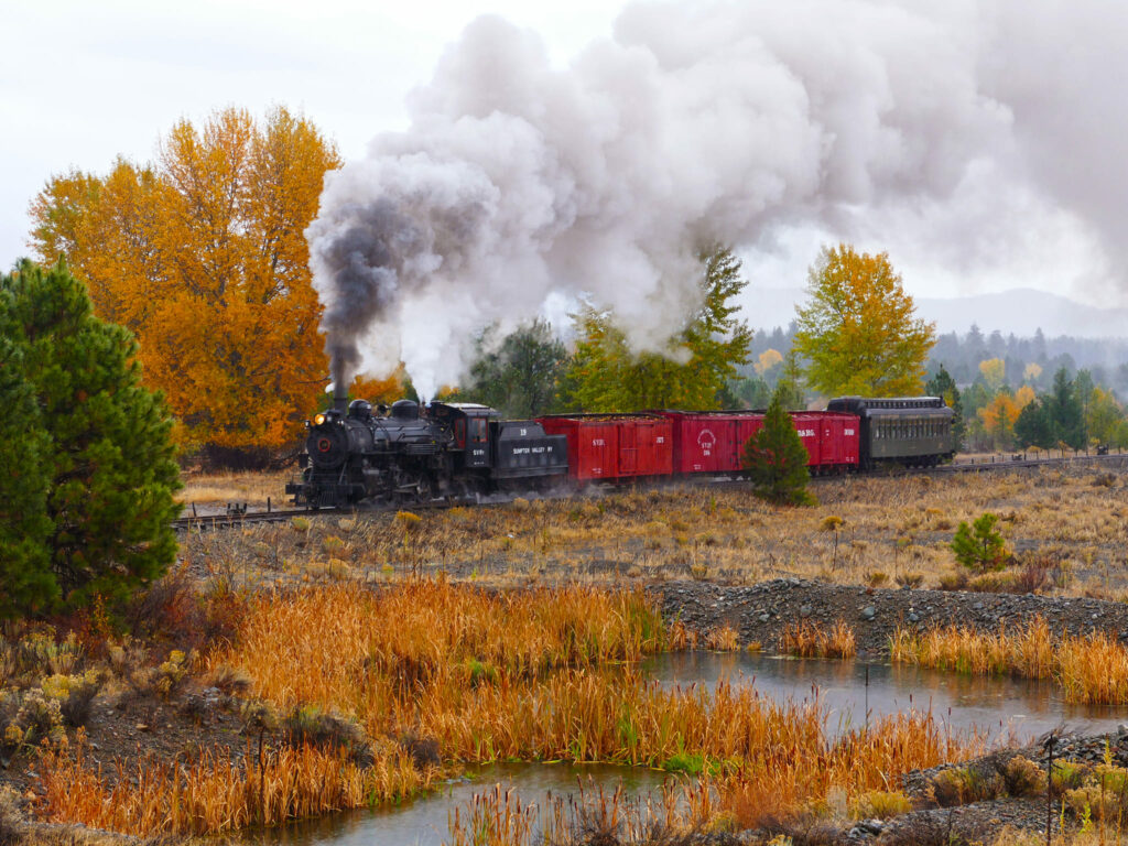 A train passes trees in fall colors with steam billowing out the top of the train.