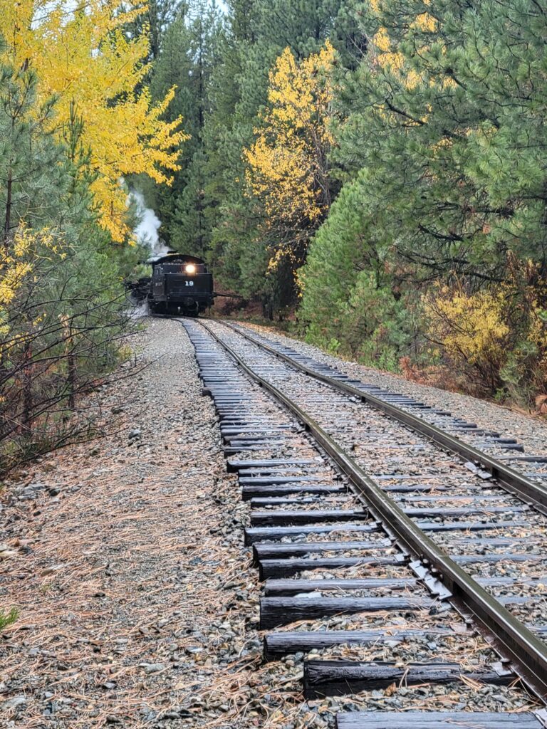 A train passes trees in fall colors with steam billowing out the top of the train.