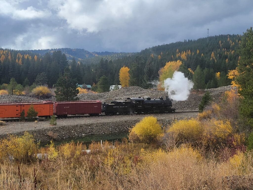 A train passes trees in fall colors.