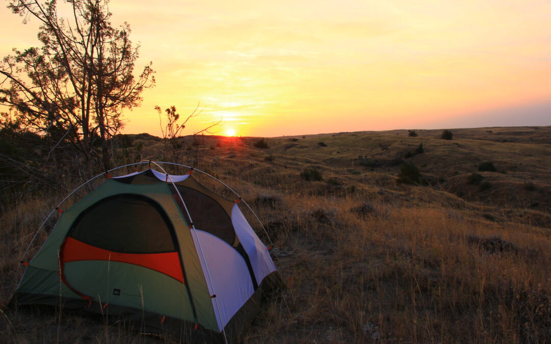 How to Save Money Camping in Oregon as Fees Rise Again in 2025 for State Parks and Campsites