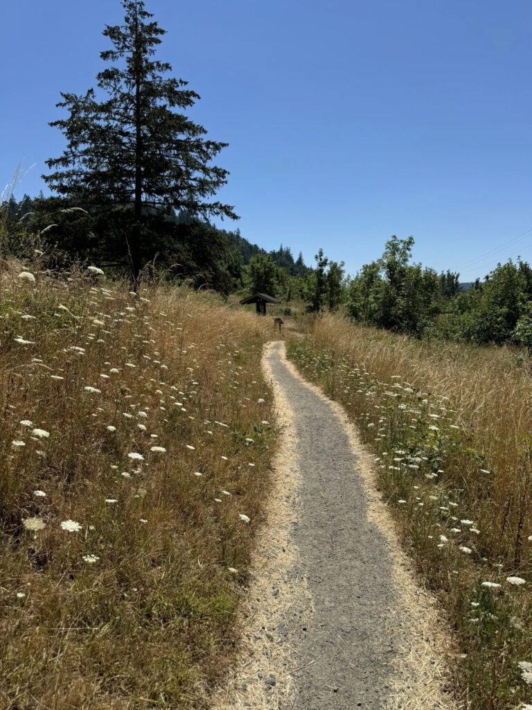 section of trail