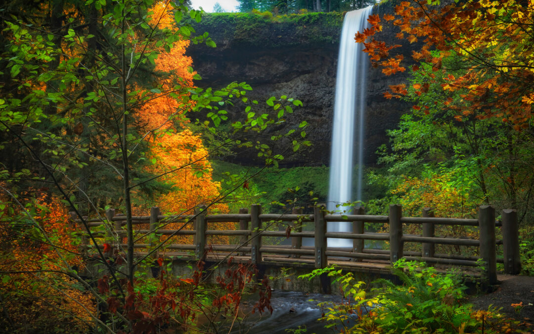 This Scenic Oregon Park Is a Must-Hike As It Bursts Into Vibrant Color Every Fall