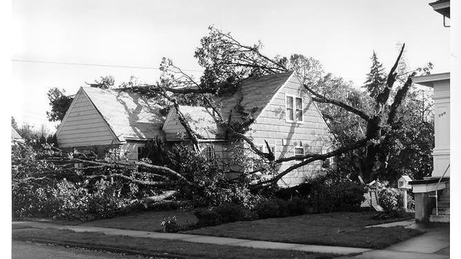 Columbus Day Storm