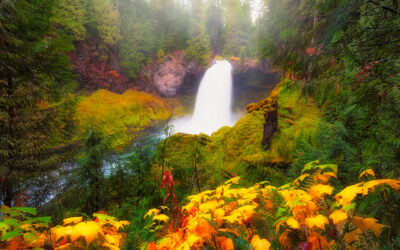 5 Breathtaking Fall Waterfall Hikes in Oregon for 2024 Adventures