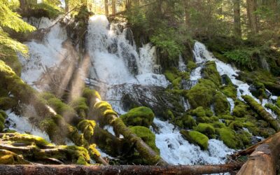 Take an Easy Stroll to the Humble Yet Beautiful Clearwater Falls