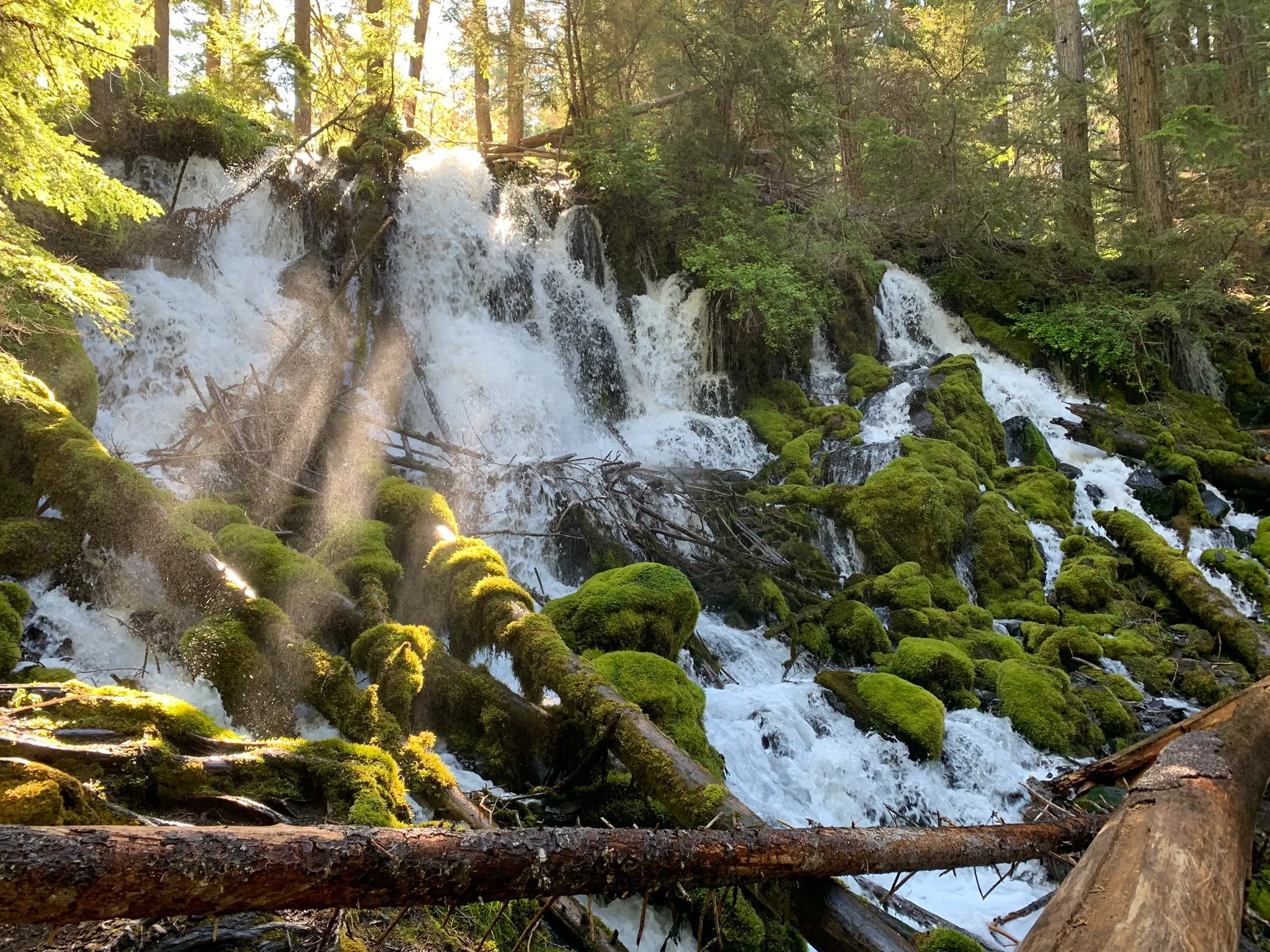 Clearwater Falls