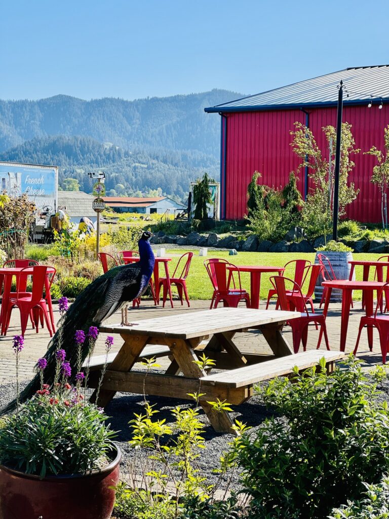 A peacock sits on a table in the outdoor seating area. A red barn and forested mountains can be seen in the background. The seating area has many plants and small trees, as well as red tables and chairs.