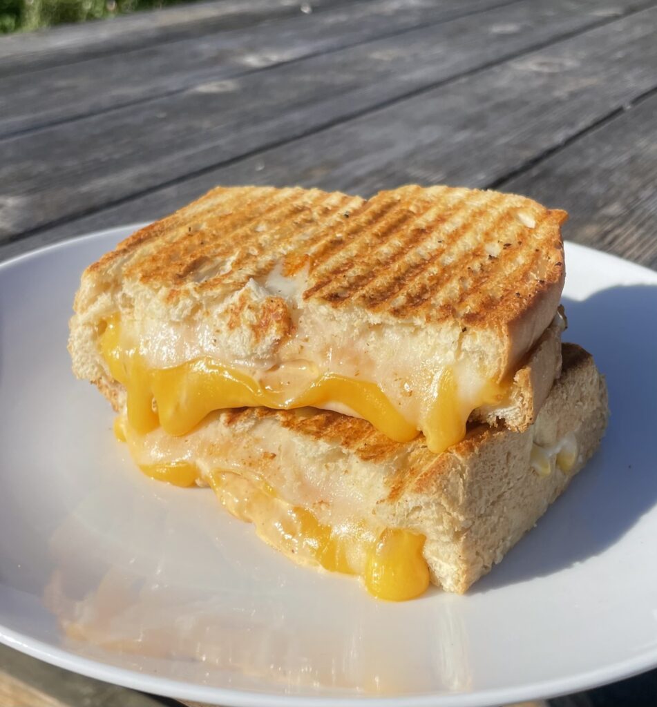 A grilled sandwich that looks absolutely delicious!