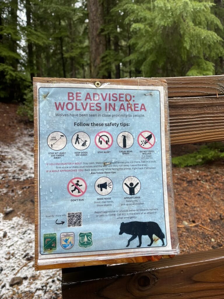 Wolf sign