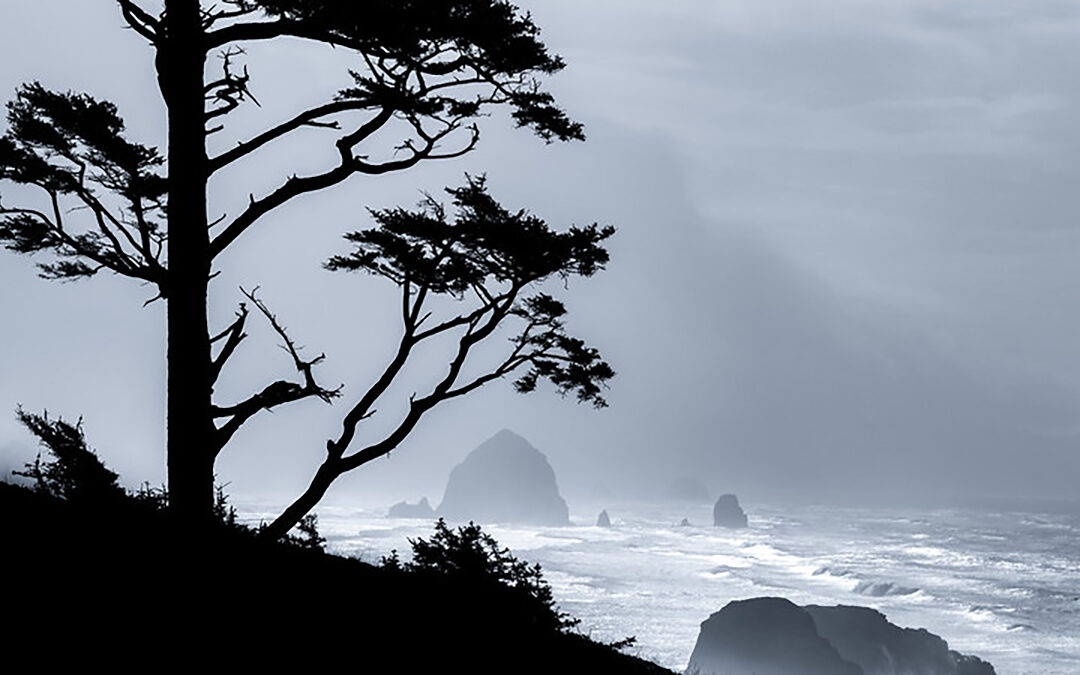 Video Shows Close Call as Woman Nearly Swept Away by King Tide on Oregon Coast