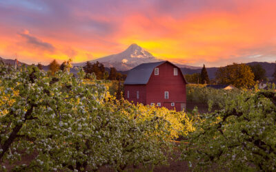 Hood River Named One of America’s Best Small Mountain Towns to Visit in 2025