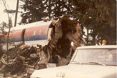 The fuselage of Flight 173 sitting in the wreckage of trees and buildings.