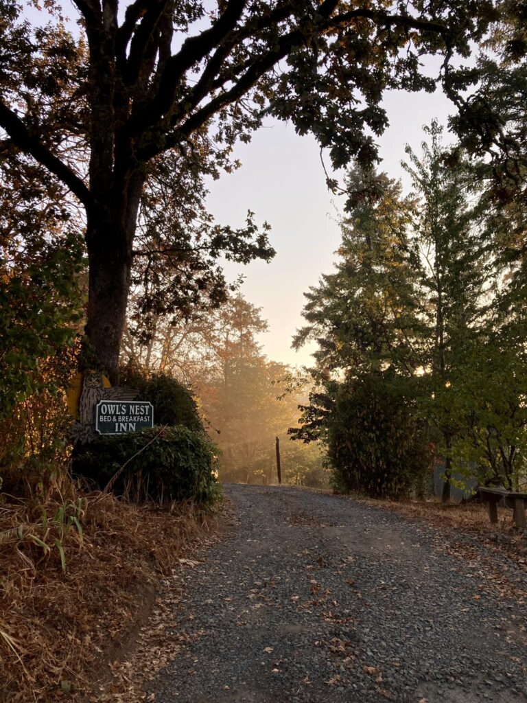 The road leading up to the Owl's Nest Inn.