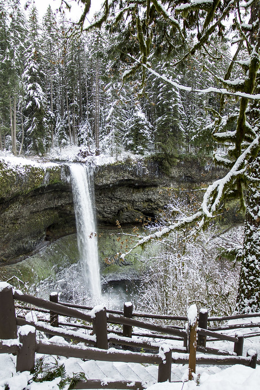 Ice and snow at Silver Falls State Park. A waterfall cascades down into a pool below.