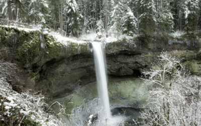 Step Into a Winter Wonderland at Oregon’s Beloved Silver Falls State Park This Year