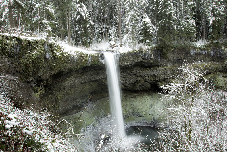 Ice and snow at Silver Falls State Park. A waterfall cascades down into a pool below.