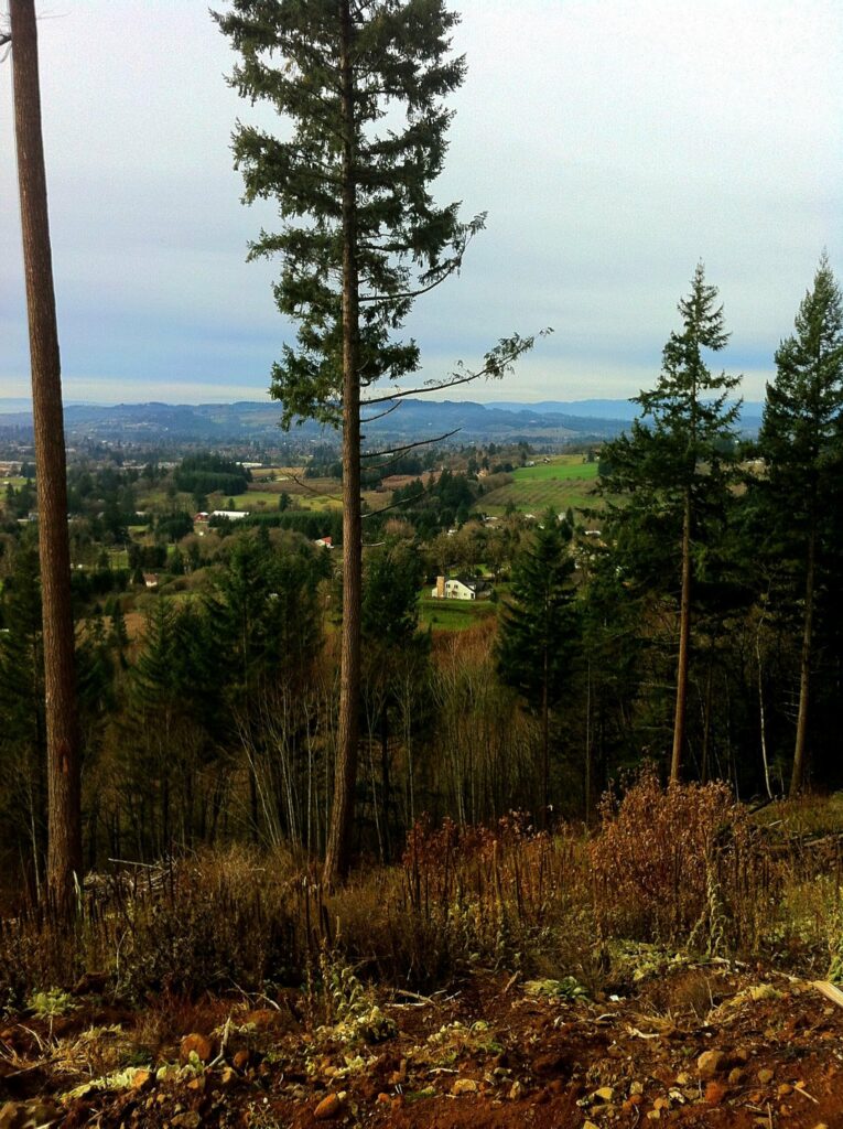 The view from the Owl's Nest Inn.