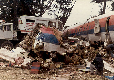 The fuselage of Flight 173 sitting in the wreckage of trees and buildings.